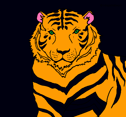 Tigre