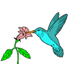 Dibujo Colibrí y una flor pintado por arcoiris123