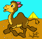 Dibujo Camello pintado por sofiac-bmanga