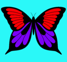Dibujo Mariposa pintado por braulio