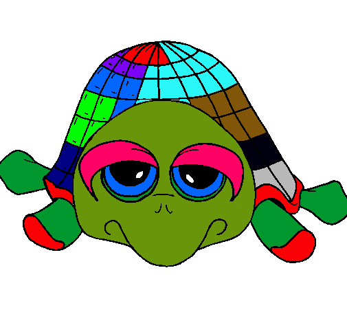 Tortuga