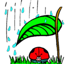Dibujo Mariquita protegida de la lluvia pintado por calos1406
