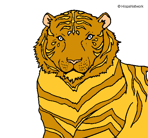 Tigre