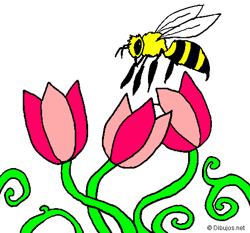 Abeja