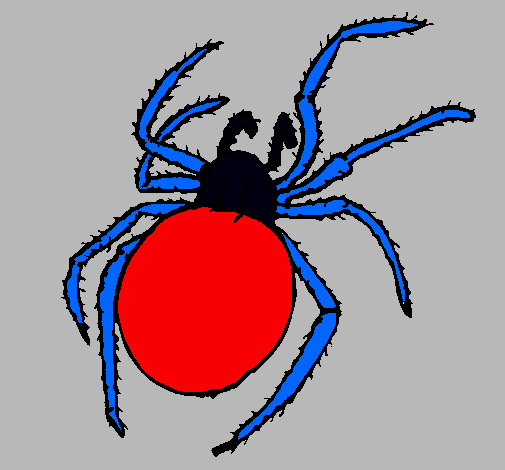 Araña venenosa