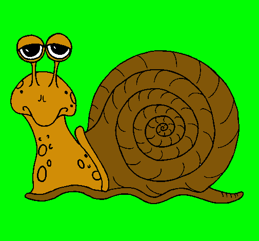 Caracol