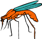 Dibujo Mosquito pintado por arnau