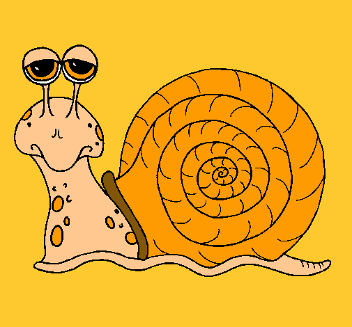 Caracol