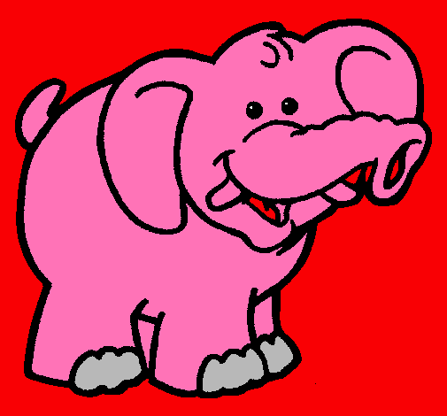 Elefante