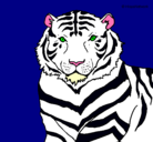 Dibujo Tigre pintado por E.G.T.B