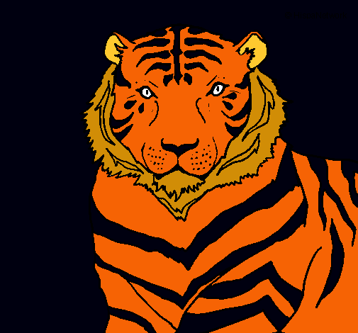 Tigre