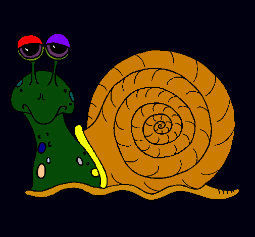 Caracol