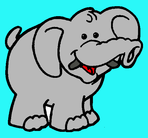 Elefante