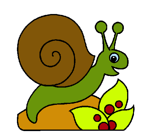 Caracol