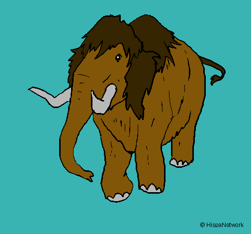 Mamut II