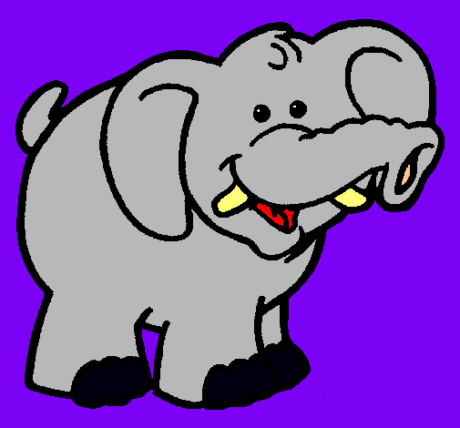 Elefante