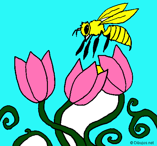 Abeja