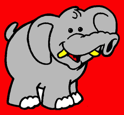 Elefante