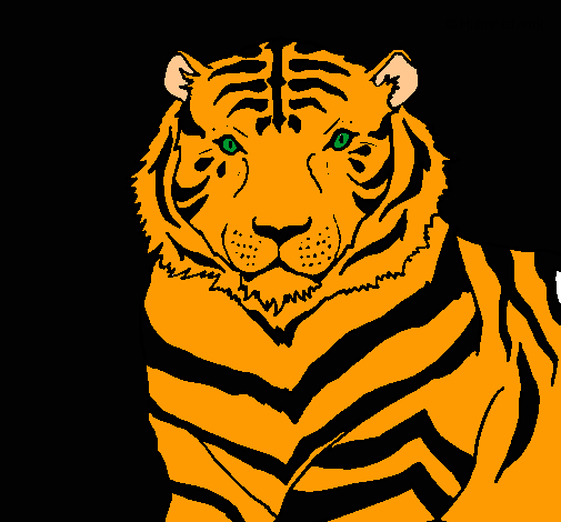 Tigre