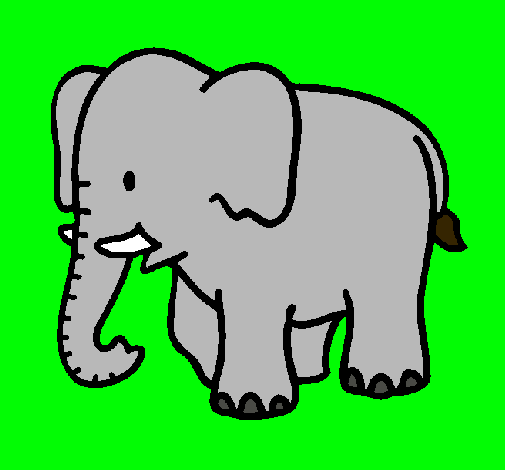 Elefante bebe