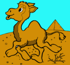 Dibujo Camello pintado por miguelito