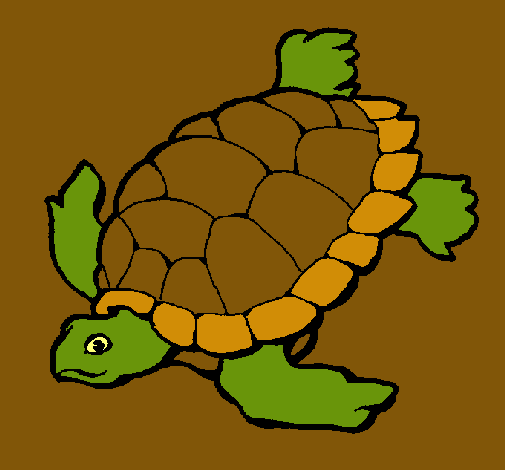 Tortuga