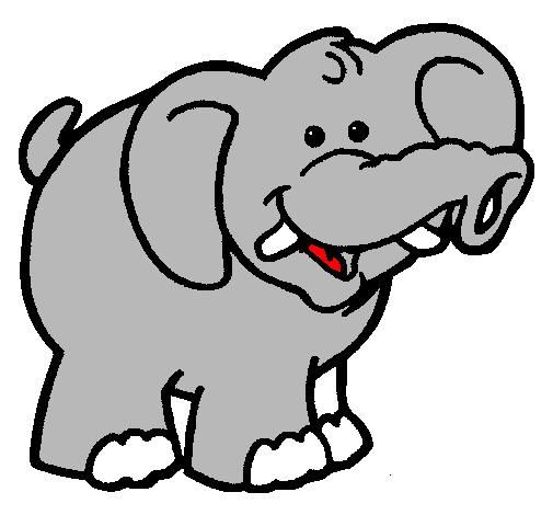 Elefante