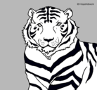 Dibujo Tigre pintado por AleyEdgmar