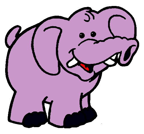 Elefante