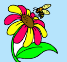 Dibujo Margarita con abeja pintado por keidigarnica