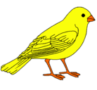 Dibujo Gorrión pintado por bird