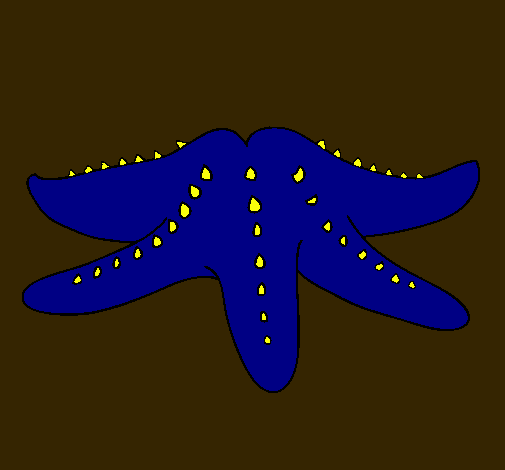 Estrella de mar