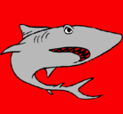 Dibujo Tiburón pintado por elias