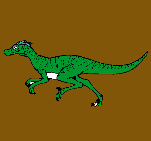 Velociraptor