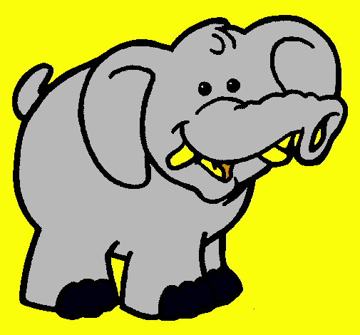 Elefante