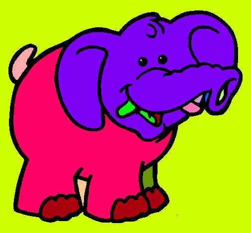 Elefante