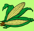 Dibujo Mazorca de maíz pintado por anapau
