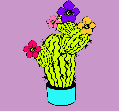 Flores de cactus