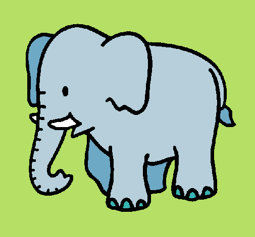 Elefante bebe