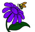 Dibujo Margarita con abeja pintado por BRUNY