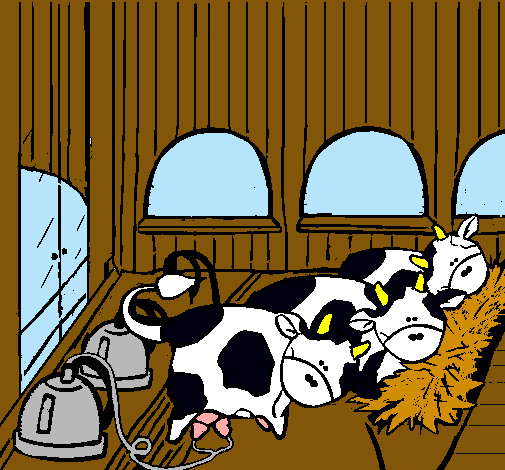 Vacas en el establo