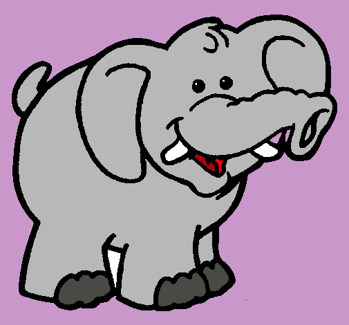 Elefante