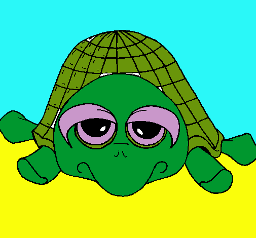 Tortuga