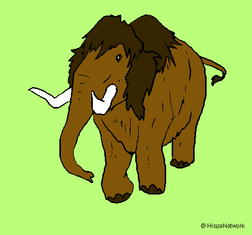 Mamut II