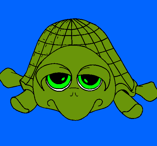 Tortuga