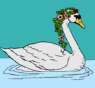 Dibujo Cisne con flores pintado por jordisabielreyes12