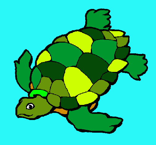 Tortuga