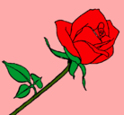 Dibujo Rosa pintado por steven