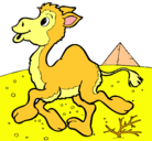 Dibujo Camello pintado por yadira