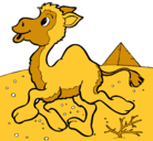 Dibujo Camello pintado por gustavobello
